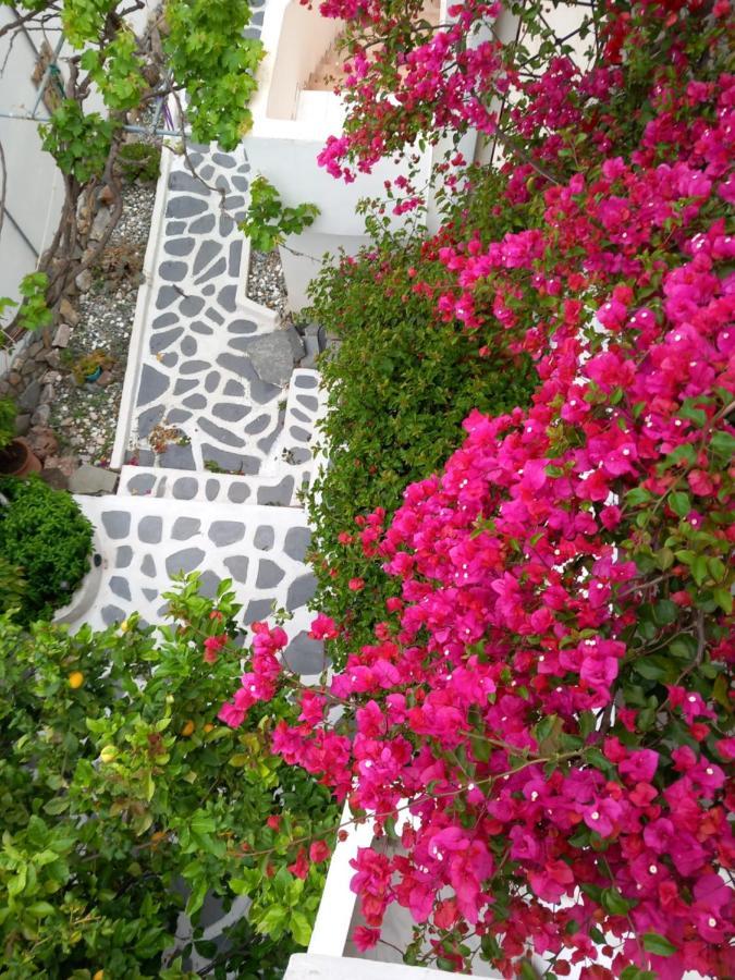 Studio In Garden Poros Town 外观 照片