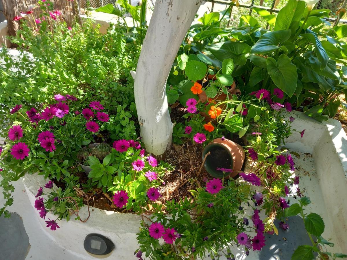 Studio In Garden Poros Town 外观 照片