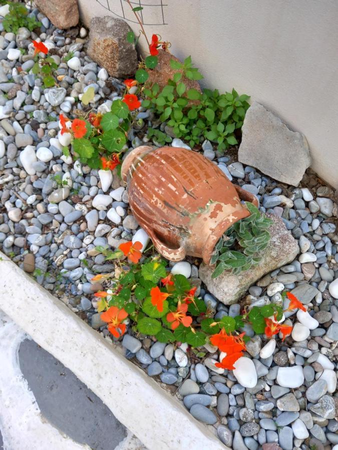 Studio In Garden Poros Town 外观 照片